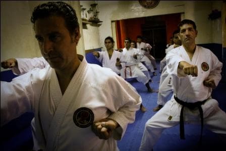 Galeria 8